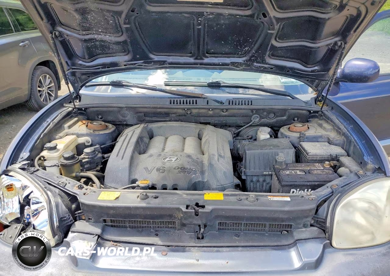 2005 Hyundai Santa Fe Gls VIN:KM8SC73D65U954853 - 12