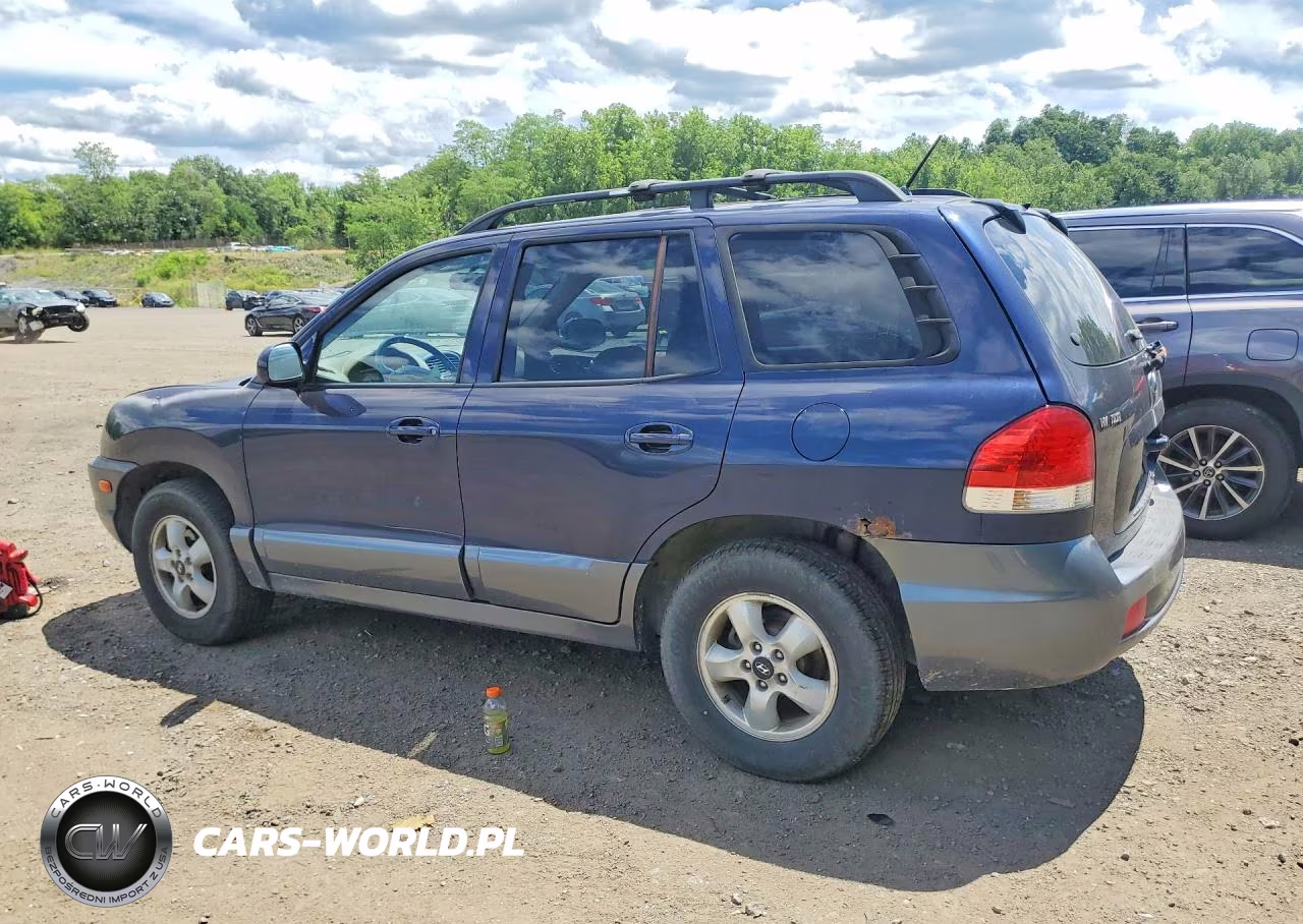 2005 Hyundai Santa Fe Gls VIN:KM8SC73D65U954853 - 2