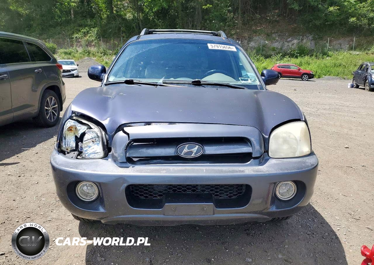 2005 Hyundai Santa Fe Gls VIN:KM8SC73D65U954853 - 5