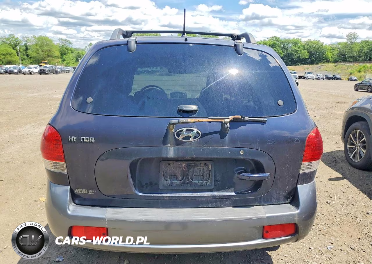 2005 Hyundai Santa Fe Gls VIN:KM8SC73D65U954853 - 6