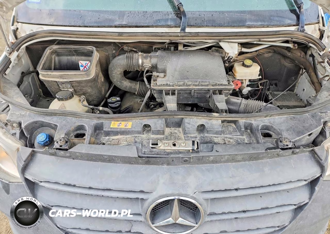 2022 Mercedes-Benz Sprinter 2500 VIN:W1Y4ECHY2NT097900 - 12