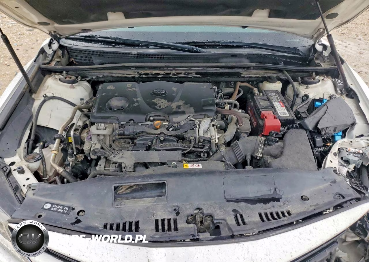 2019 Toyota Camry Le VIN:4T1B11HK4KU695656 - 11