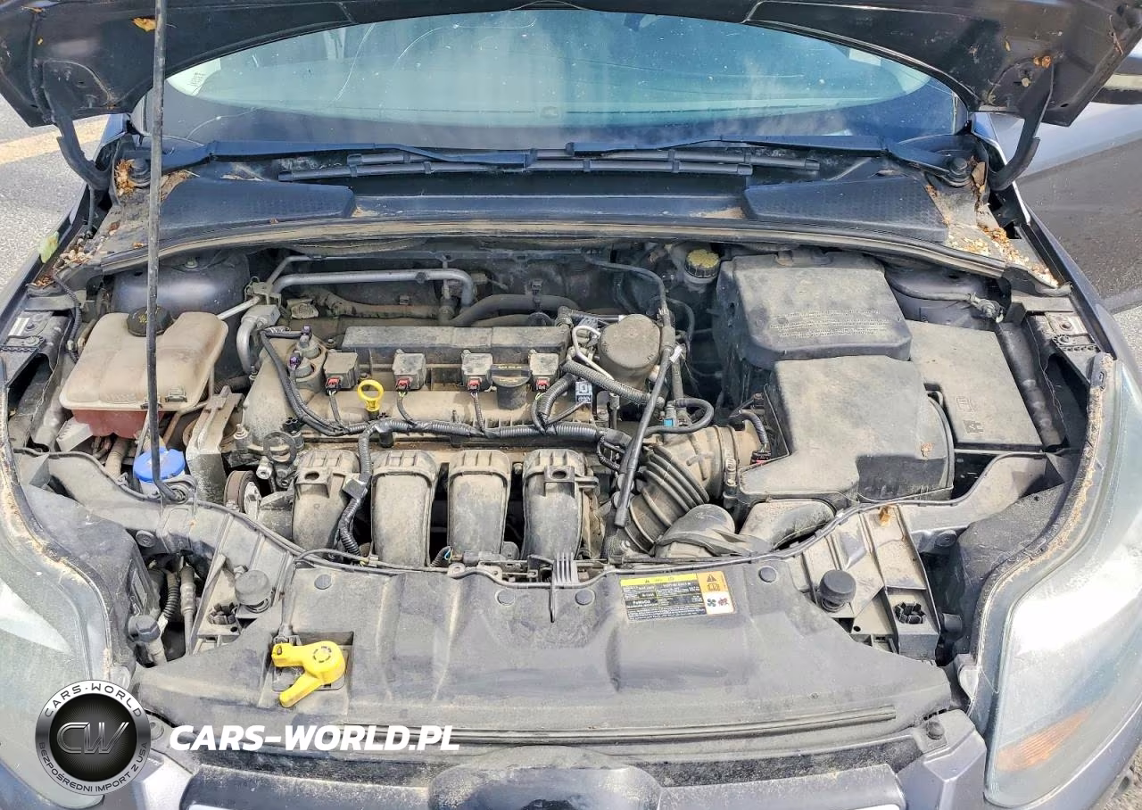 2014 Ford Foc VIN:1FADP3N22EL259562 - 11