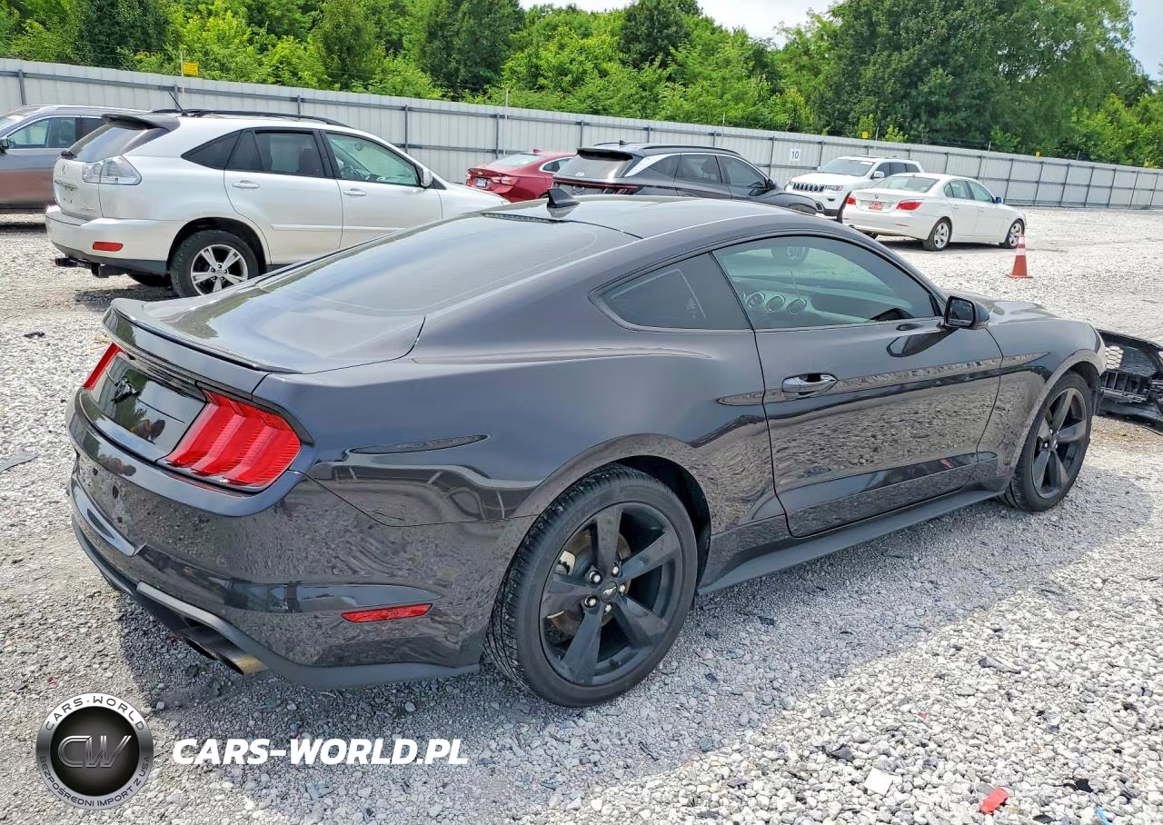 2022 Ford Mustang VIN:1FA6P8TH3N5142266 - 3