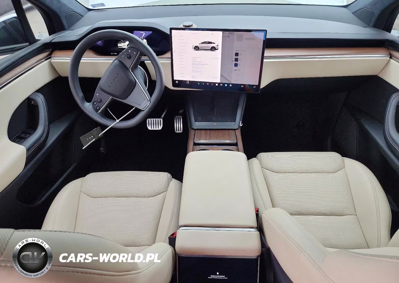 2023 Tesla Model X VIN:7SAXCDE52PF403526 - 8