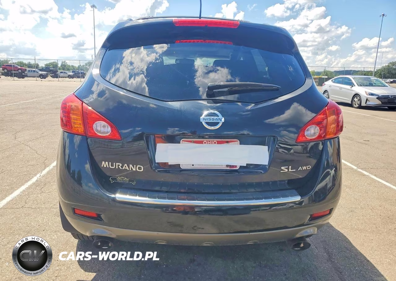 2010 Nissan Murano S VIN:JN8AZ1MW8AW123028 - 6