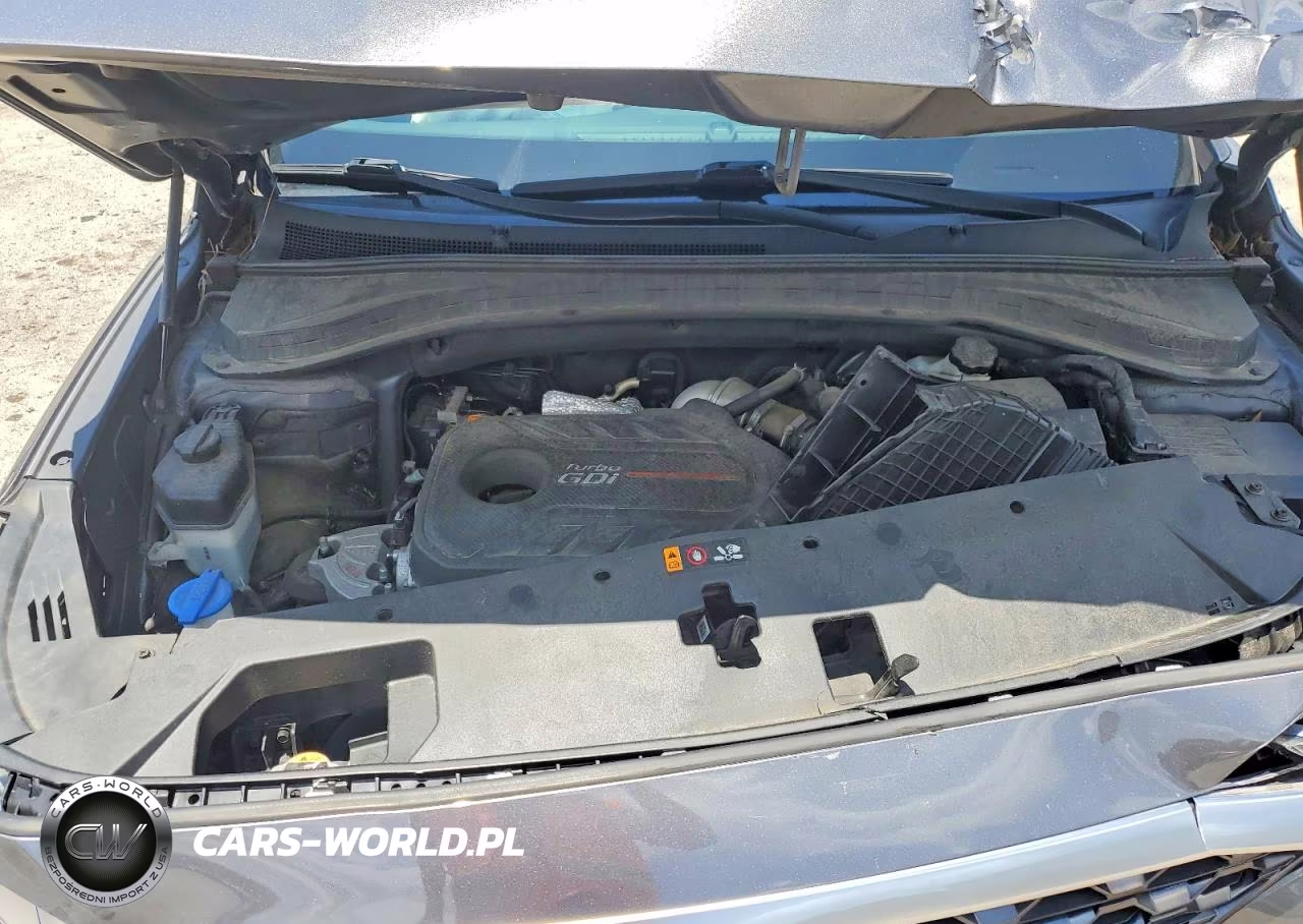 2019 Hyundai Santa Fe Limited 2.0T VIN:5NMS53AA0KH026832 - 12