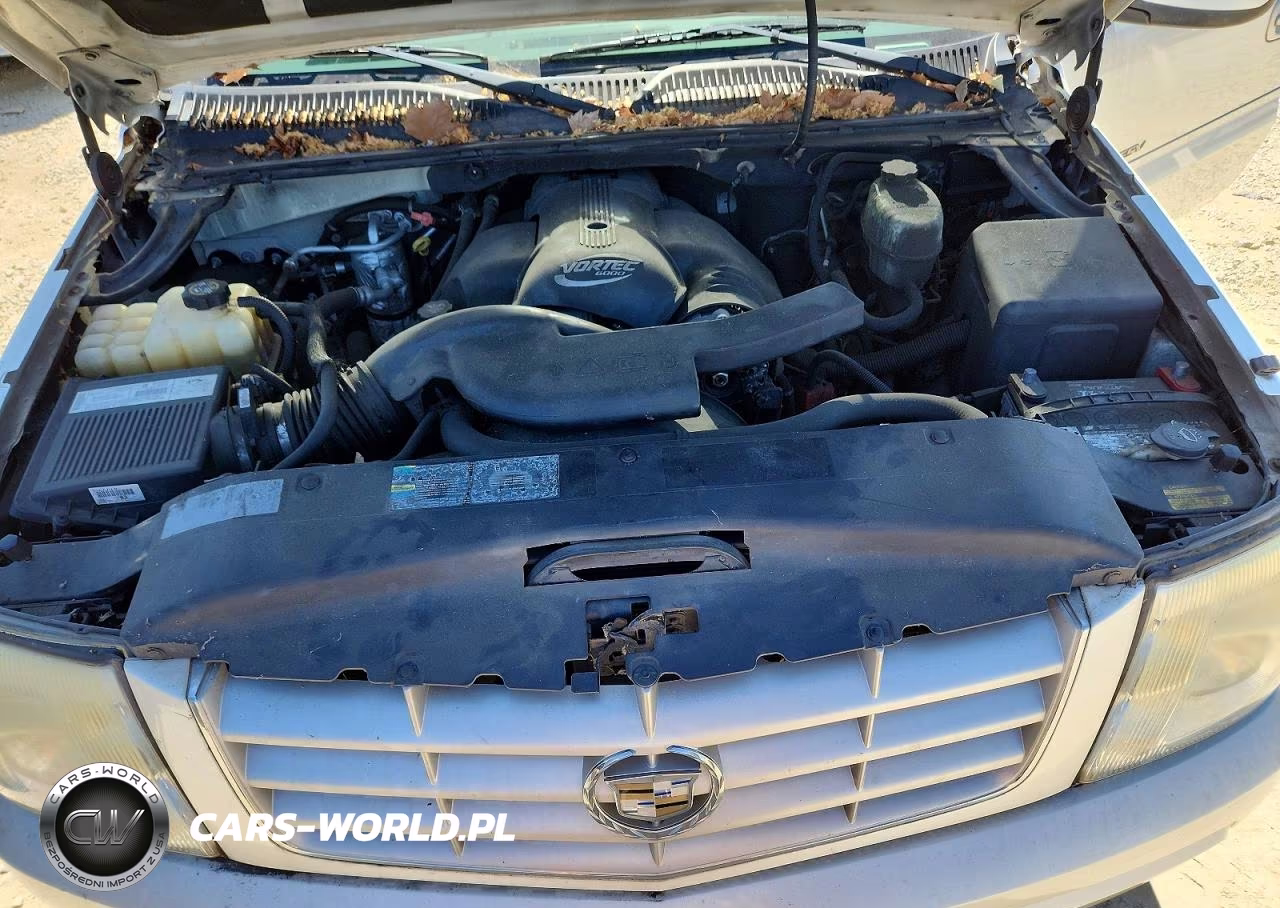 2003 Cadillac Escalade Esv VIN:3GYFK66N73G259749 - 12