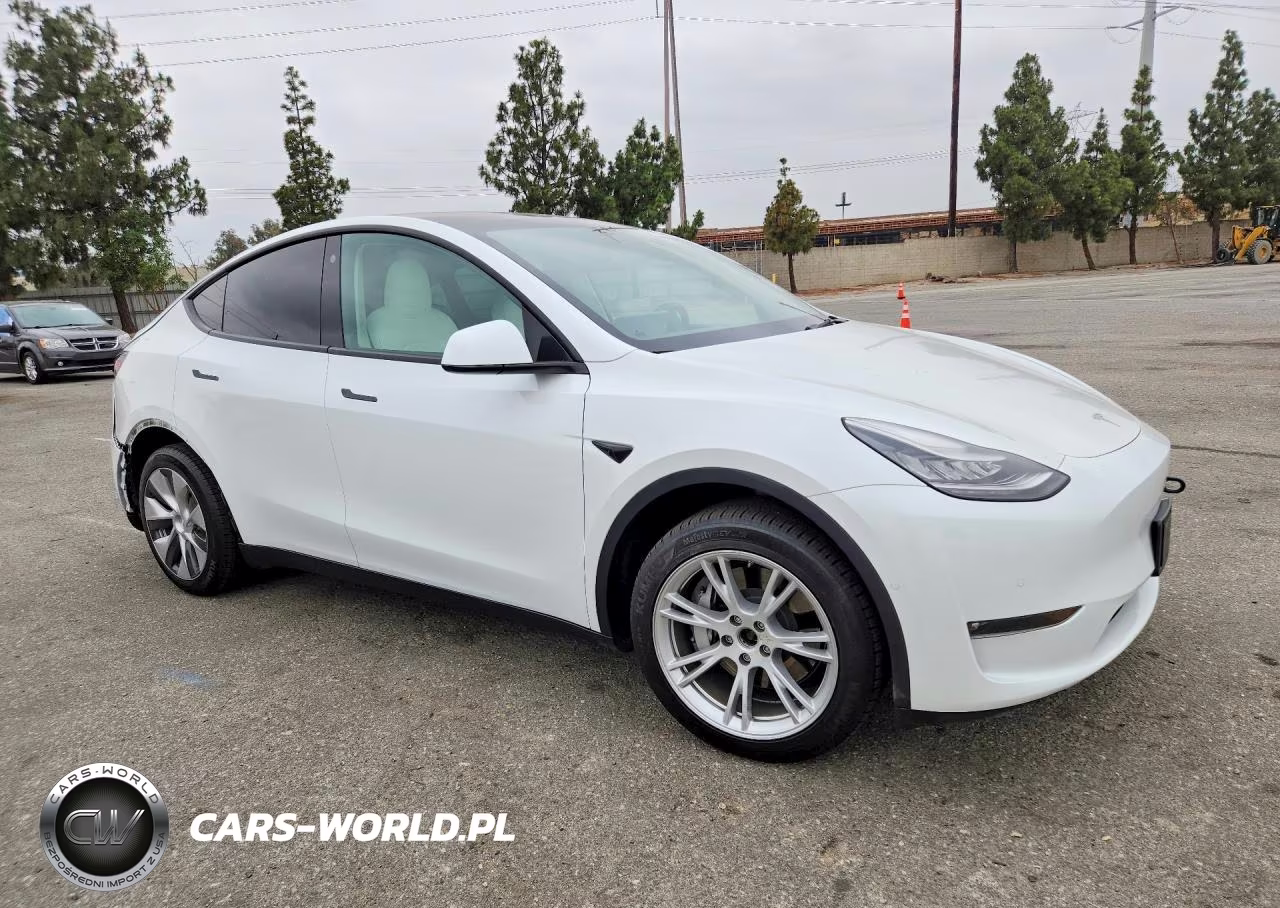 2022 Tesla Model Y VIN:7SAYGDEE0NF327813 - 4