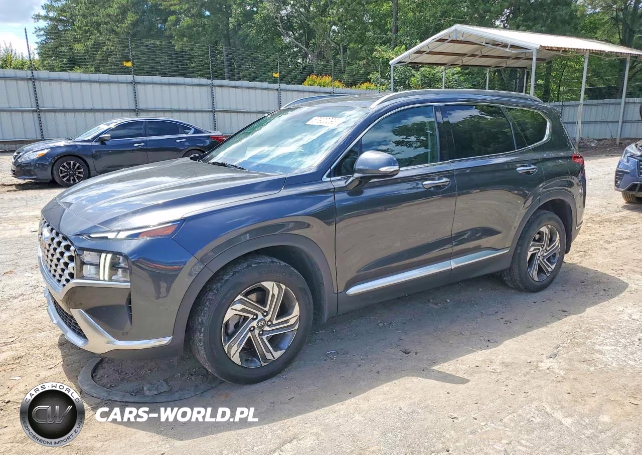 2022 Hyundai Santa Fe Sel VIN:5NMS64AJ6NH391748 - 1