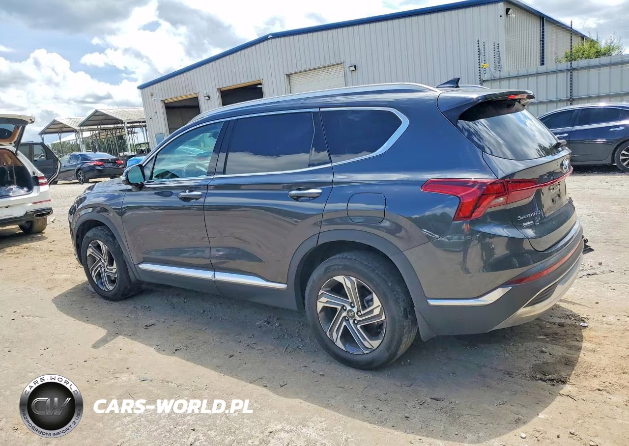 2022 Hyundai Santa Fe Sel VIN:5NMS64AJ6NH391748 - 2