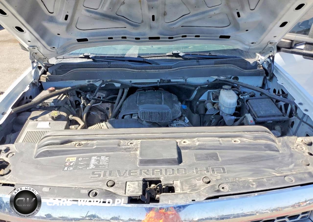 2019 Chevrolet Silverado C2500 Heavy Duty VIN:2GC2CREGXK1141501 - 11