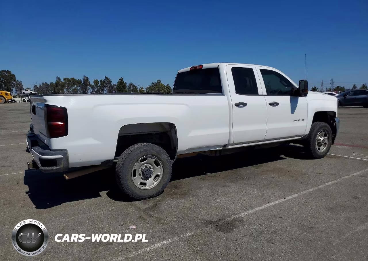 2019 Chevrolet Silverado C2500 Heavy Duty VIN:2GC2CREGXK1141501 - 3