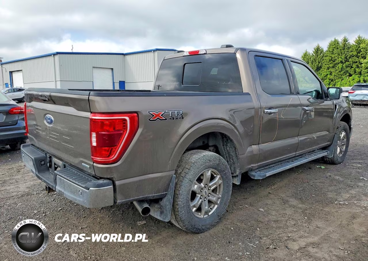 2021 Ford F150 Supercrew VIN:1FTEW1EP3MKD47591 - 3