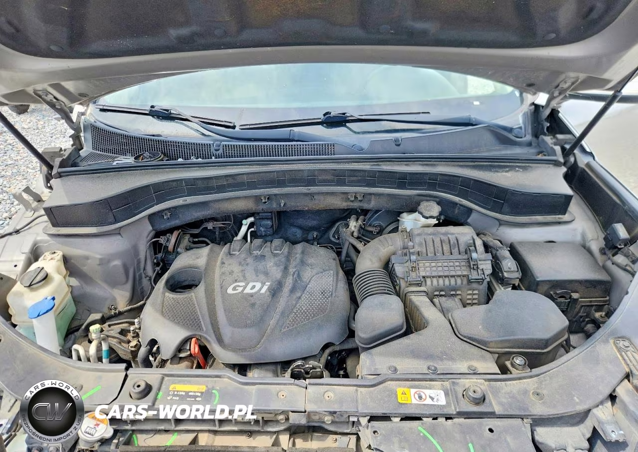 2014 Kia Sorento Lx VIN:5XYKT3A65EG535959 - 12