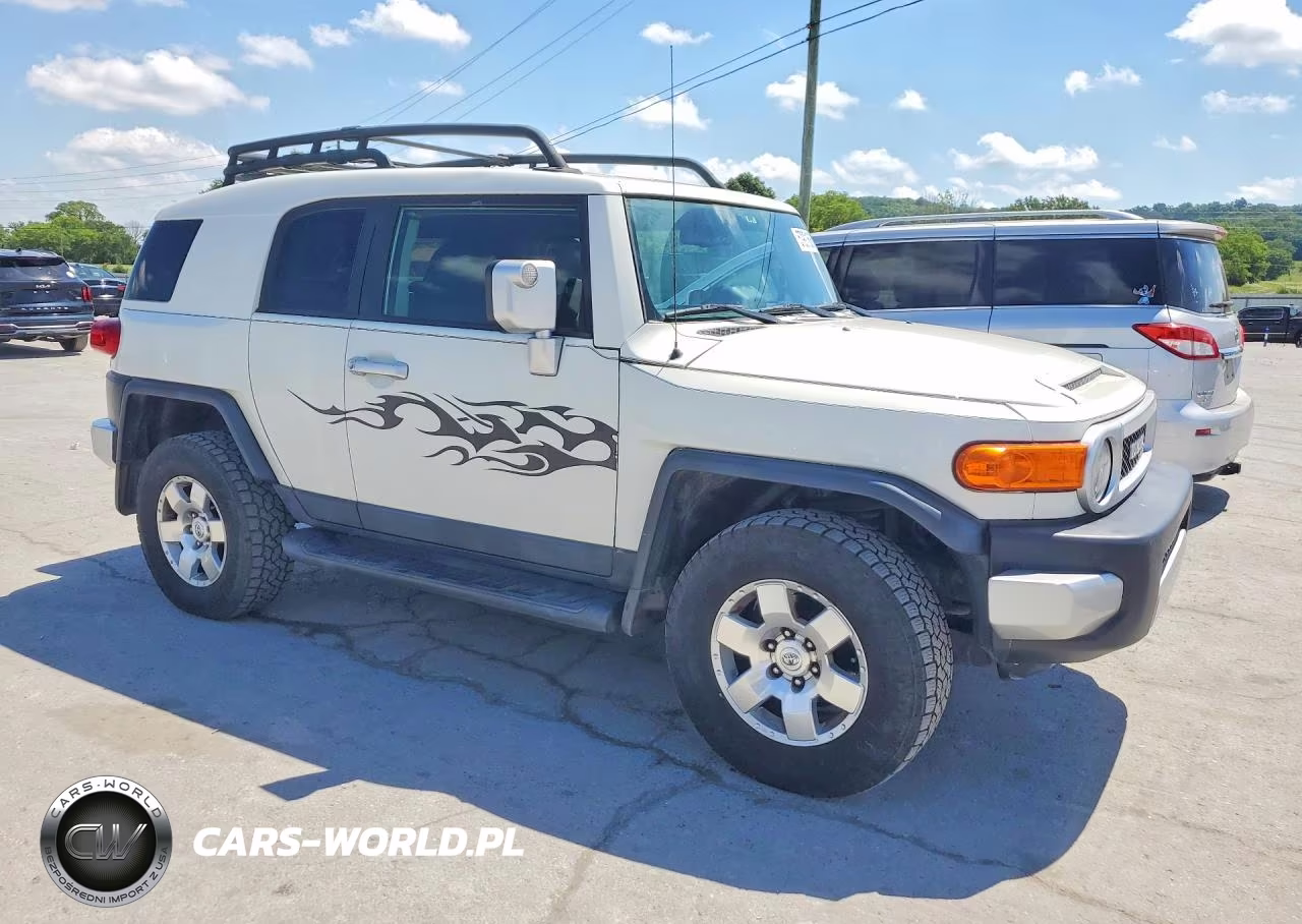 2010 Toyota Fj Cruiser VIN:JTEBU4BF8AK090148 - 4