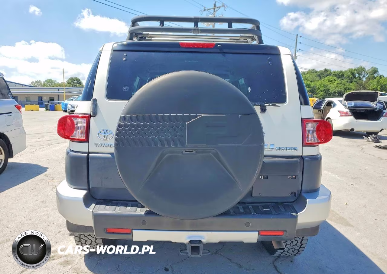 2010 Toyota Fj Cruiser VIN:JTEBU4BF8AK090148 - 6
