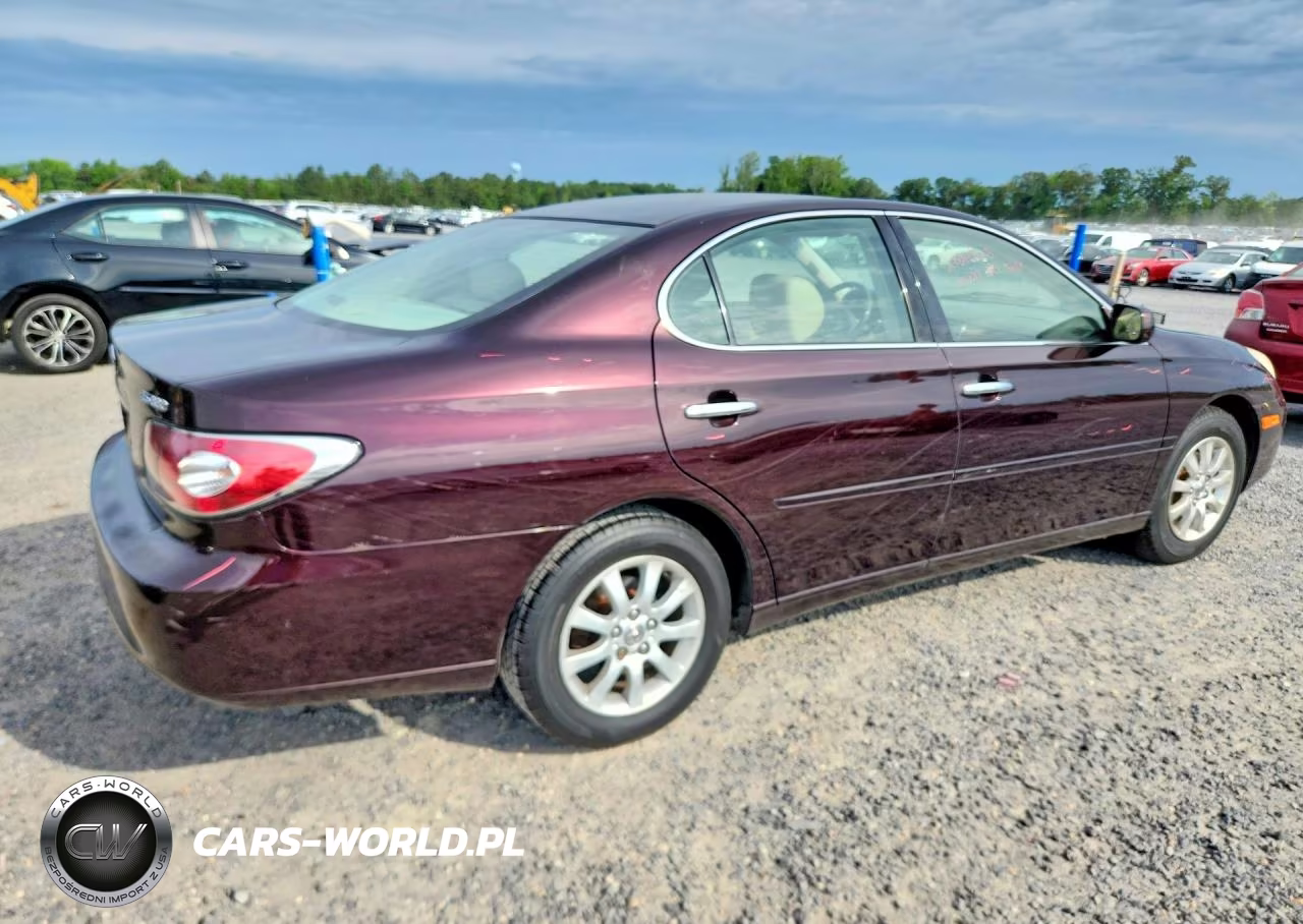 2004 Lexus Es 330 VIN:JTHBA30G940020773 - 3