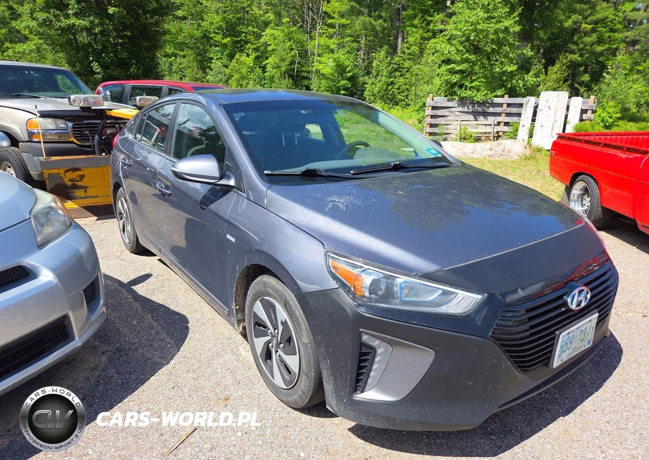 2018 Hyundai Ioniq Sel