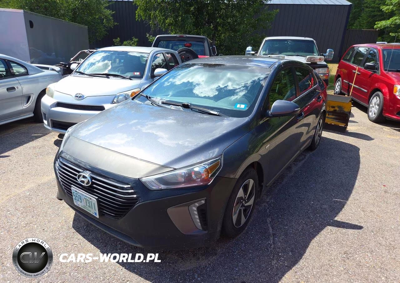 2018 Hyundai Ioniq Sel VIN:KMHC75LC6JU073925 - 2