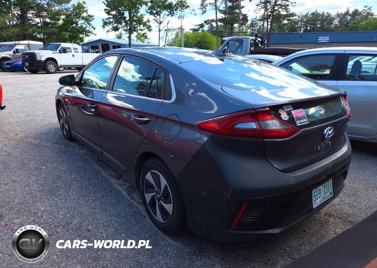 2018 Hyundai Ioniq Sel VIN:KMHC75LC6JU073925 - 3