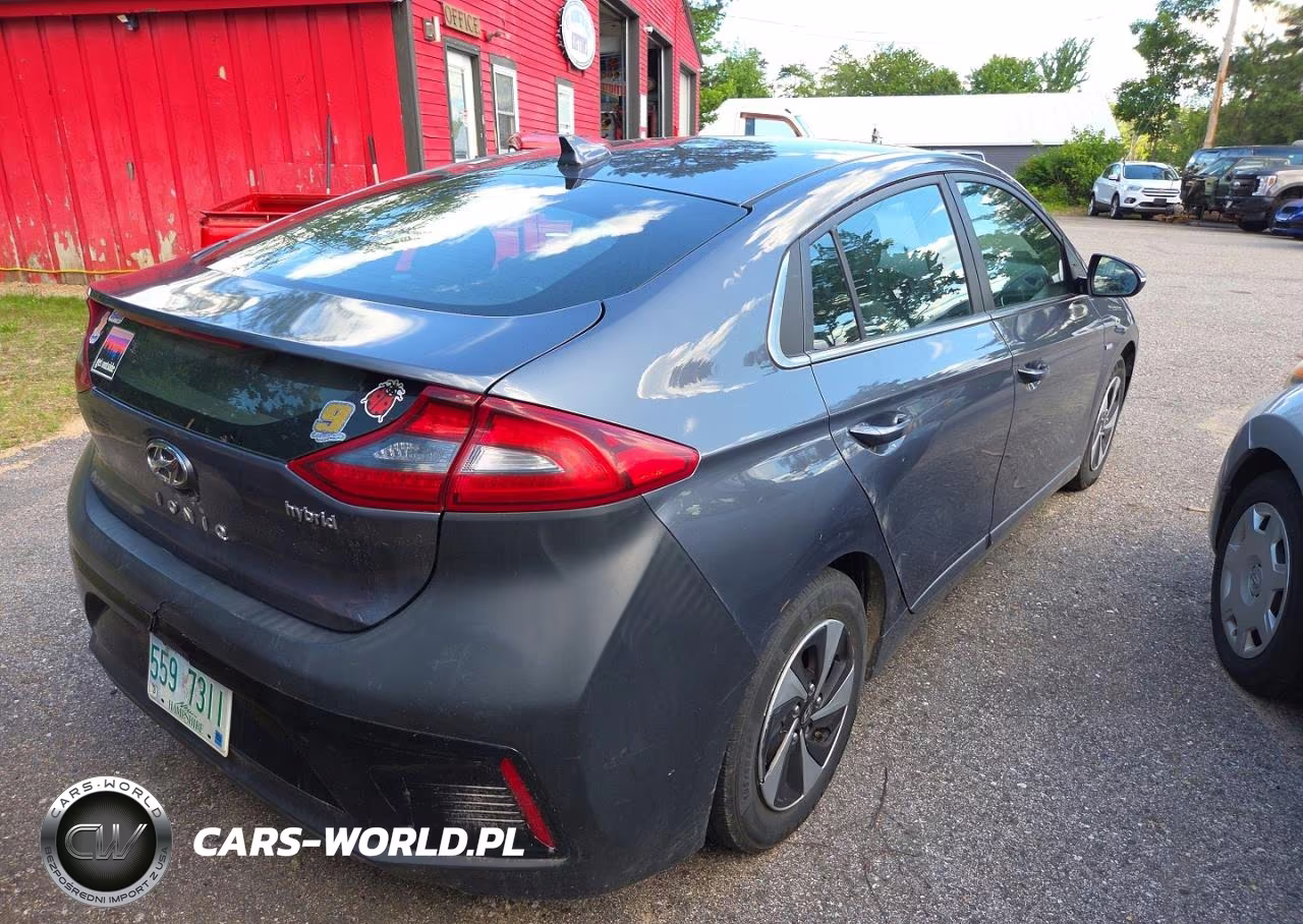2018 Hyundai Ioniq Sel VIN:KMHC75LC6JU073925 - 4