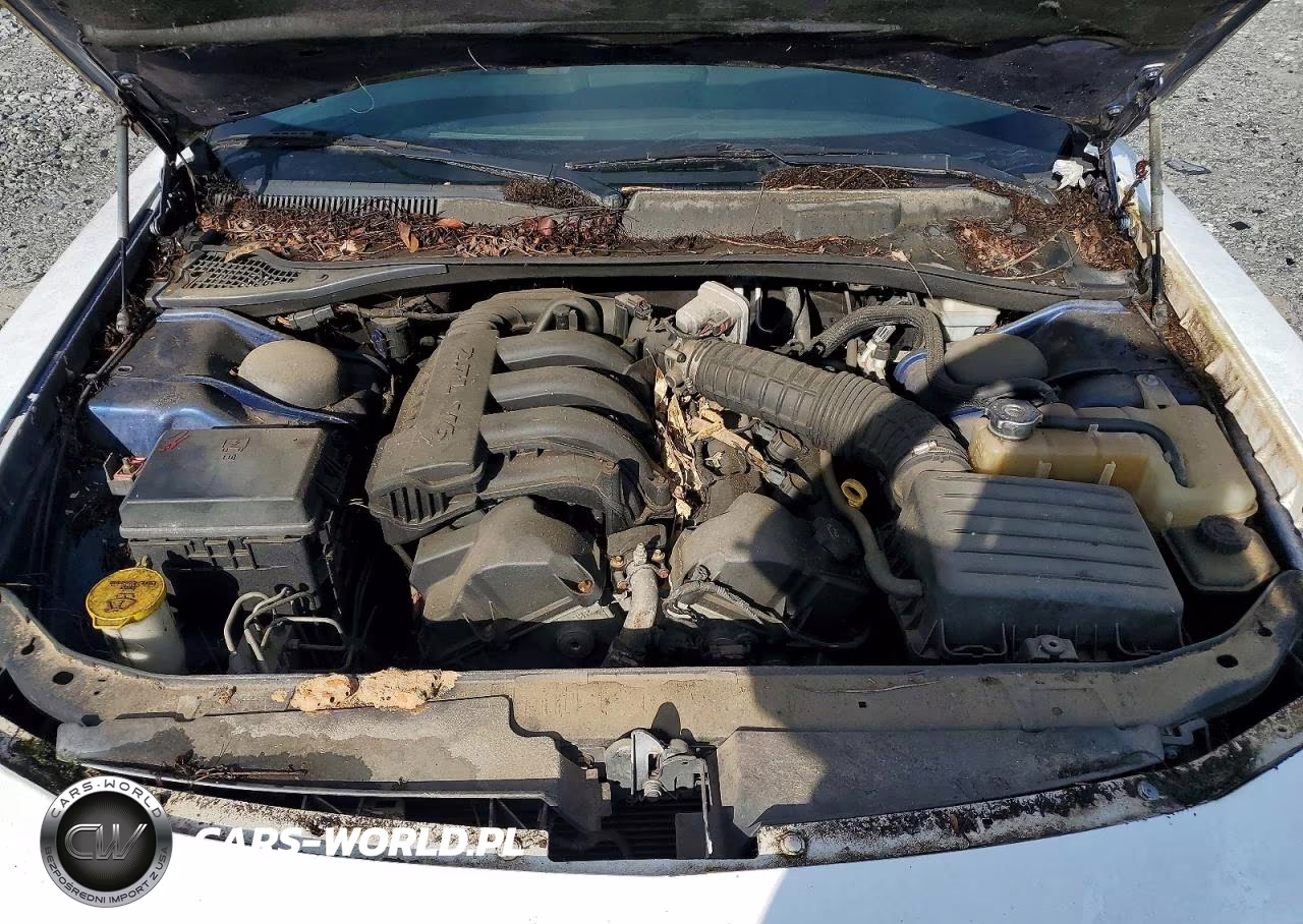 2010 Dodge Charger VIN:2B3CA4CD5AH134405 - 11