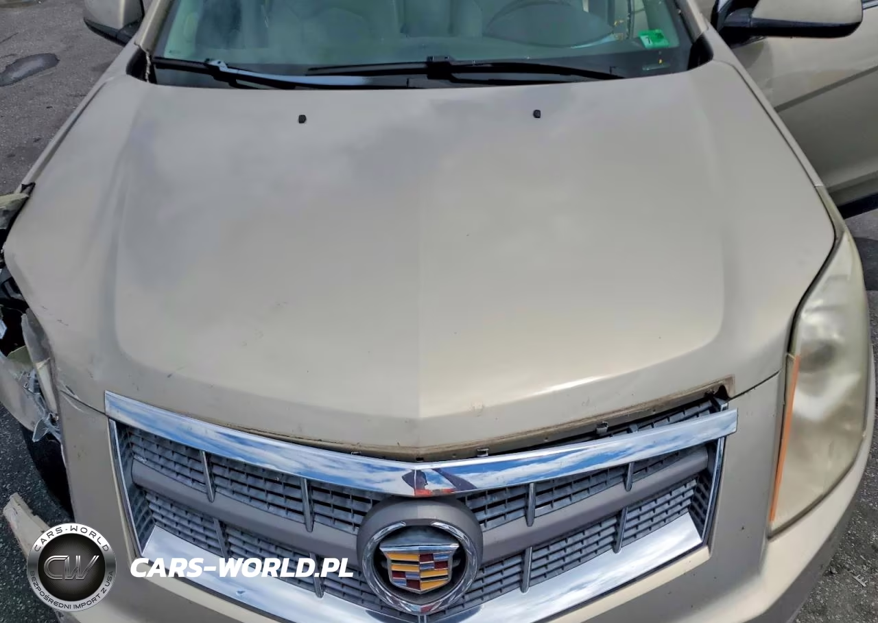 2011 Cadillac Srx Luxury Collection VIN:3GYFNAEY2BS552931 - 12