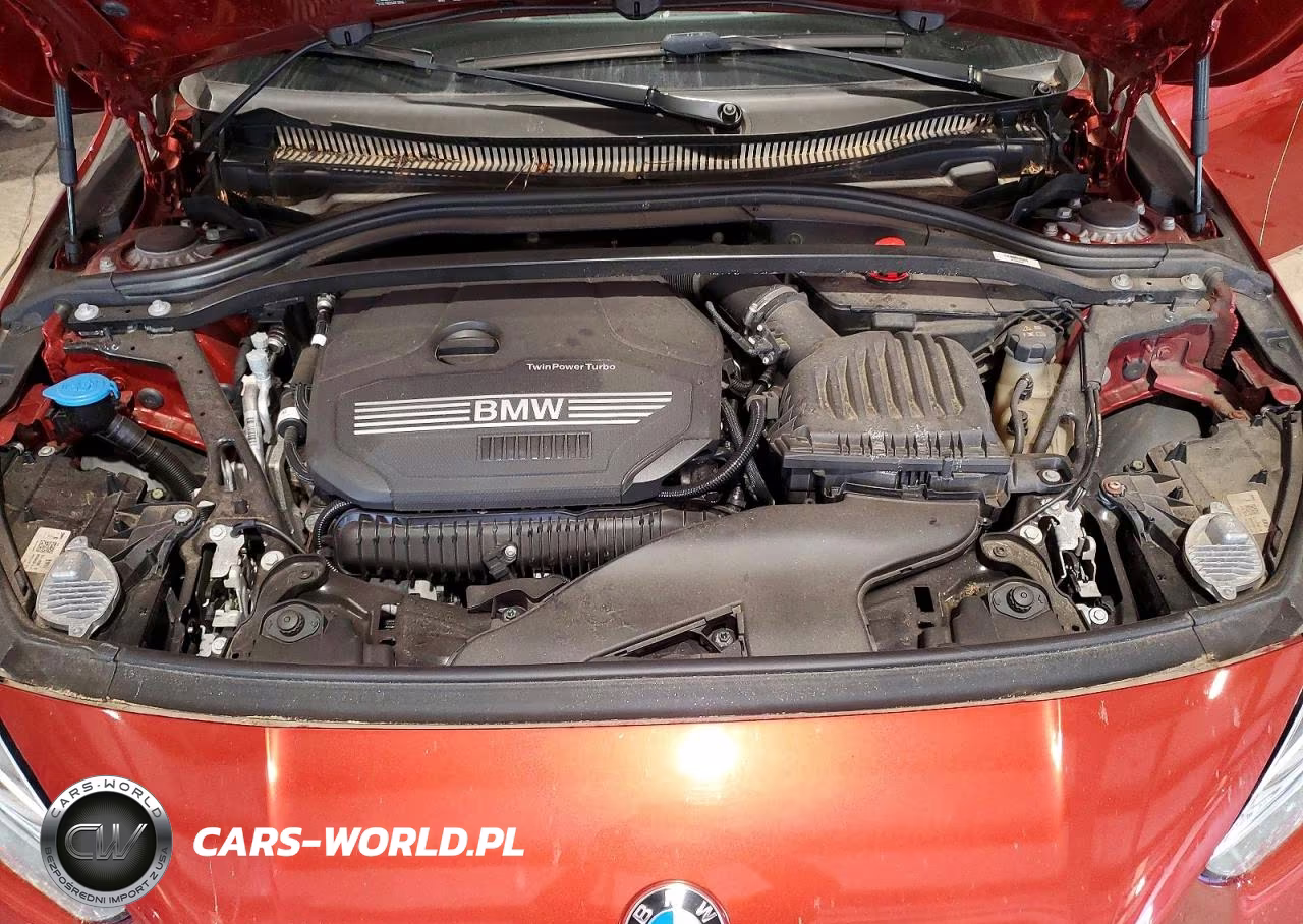 2023 BMW 228Xi VIN:WBA73AK09P7M96374 - 11
