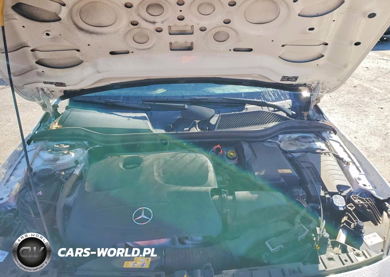 2016 Mercedes-Benz Gla VIN:WDCTG4GB2GJ193208 - 12