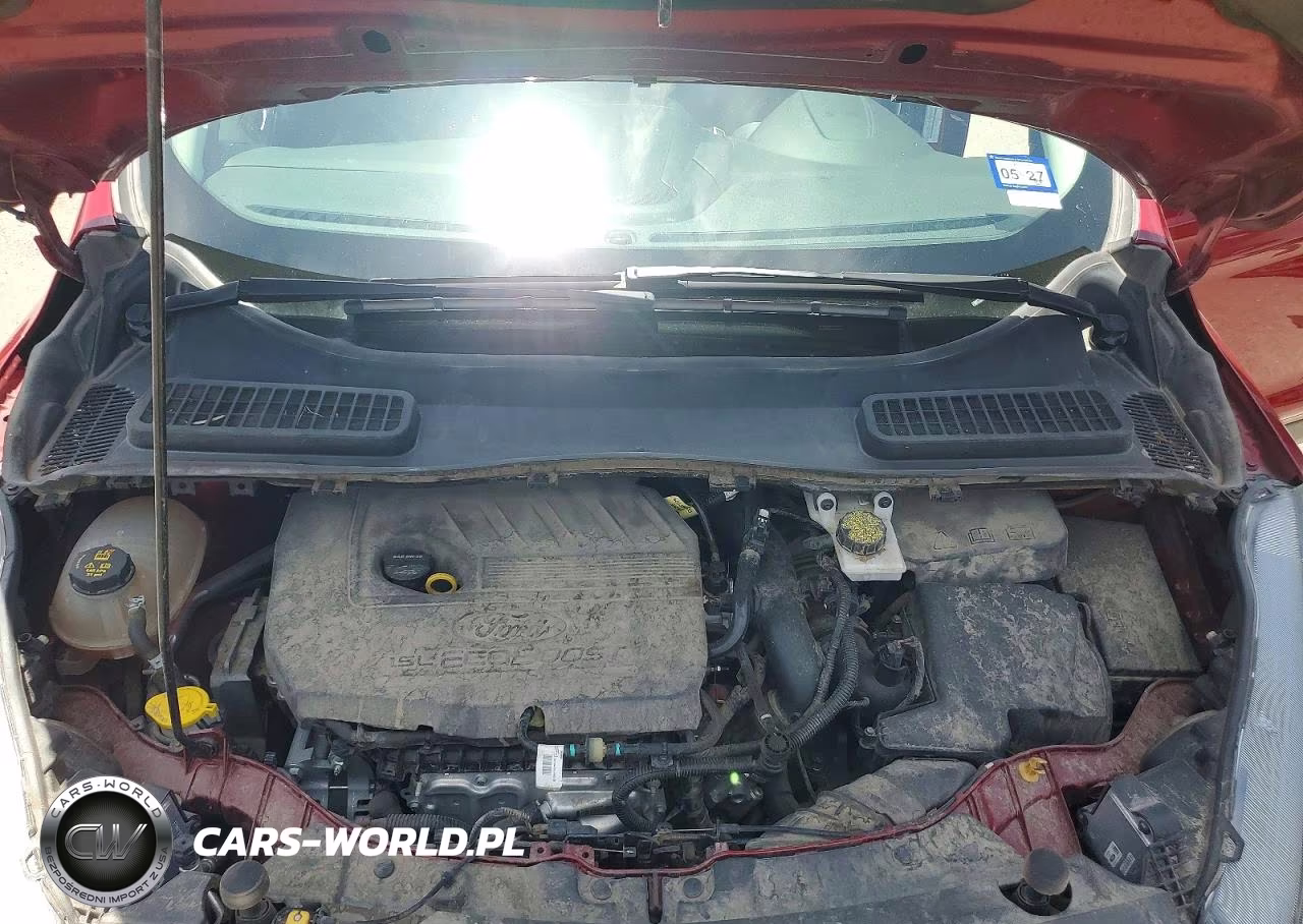 2019 Ford Escape Se VIN:1FMCU0GD4KUC52562 - 12
