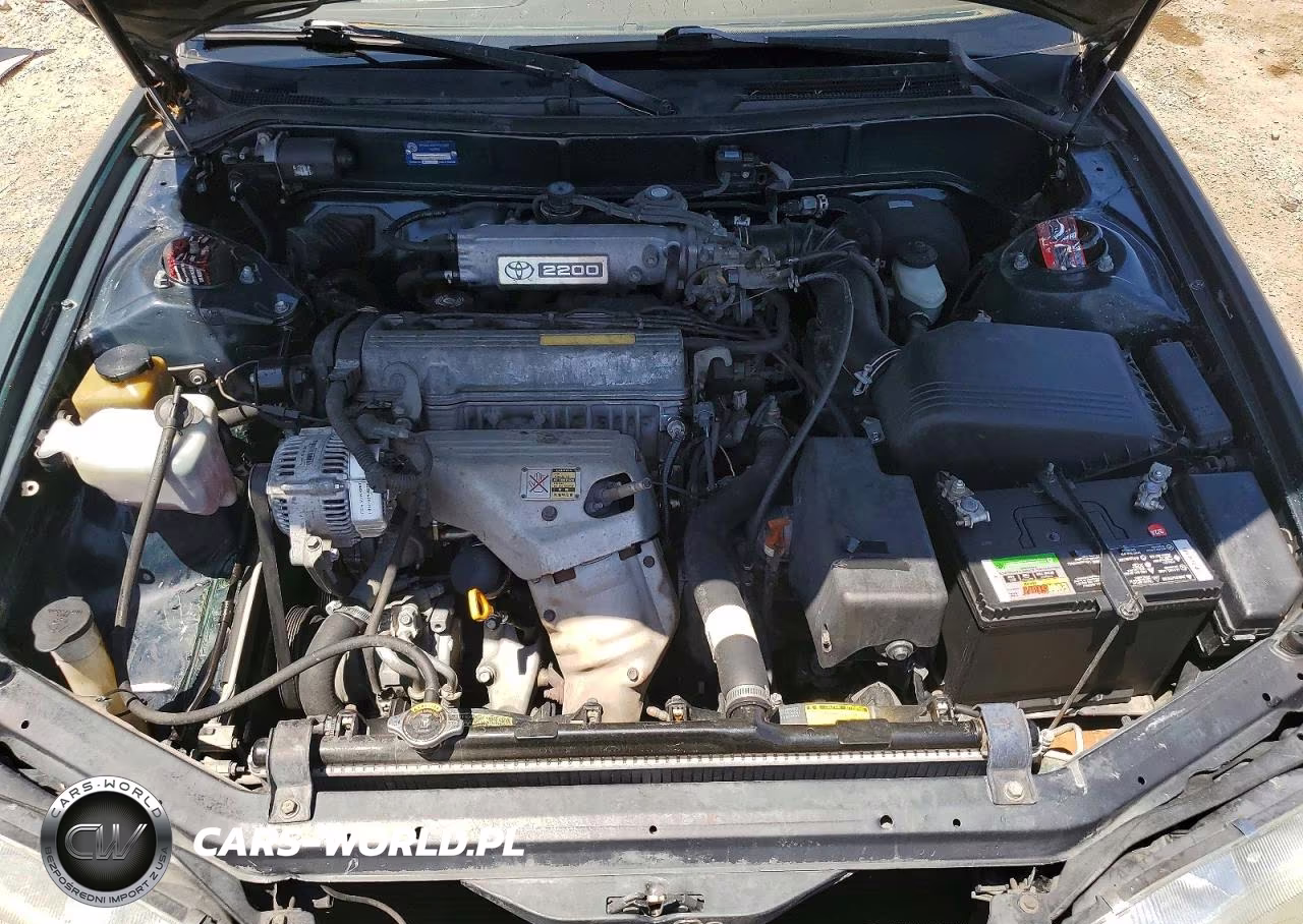 1994 Toyota Camry Le VIN:4T1SK12E5RU852007 - 11