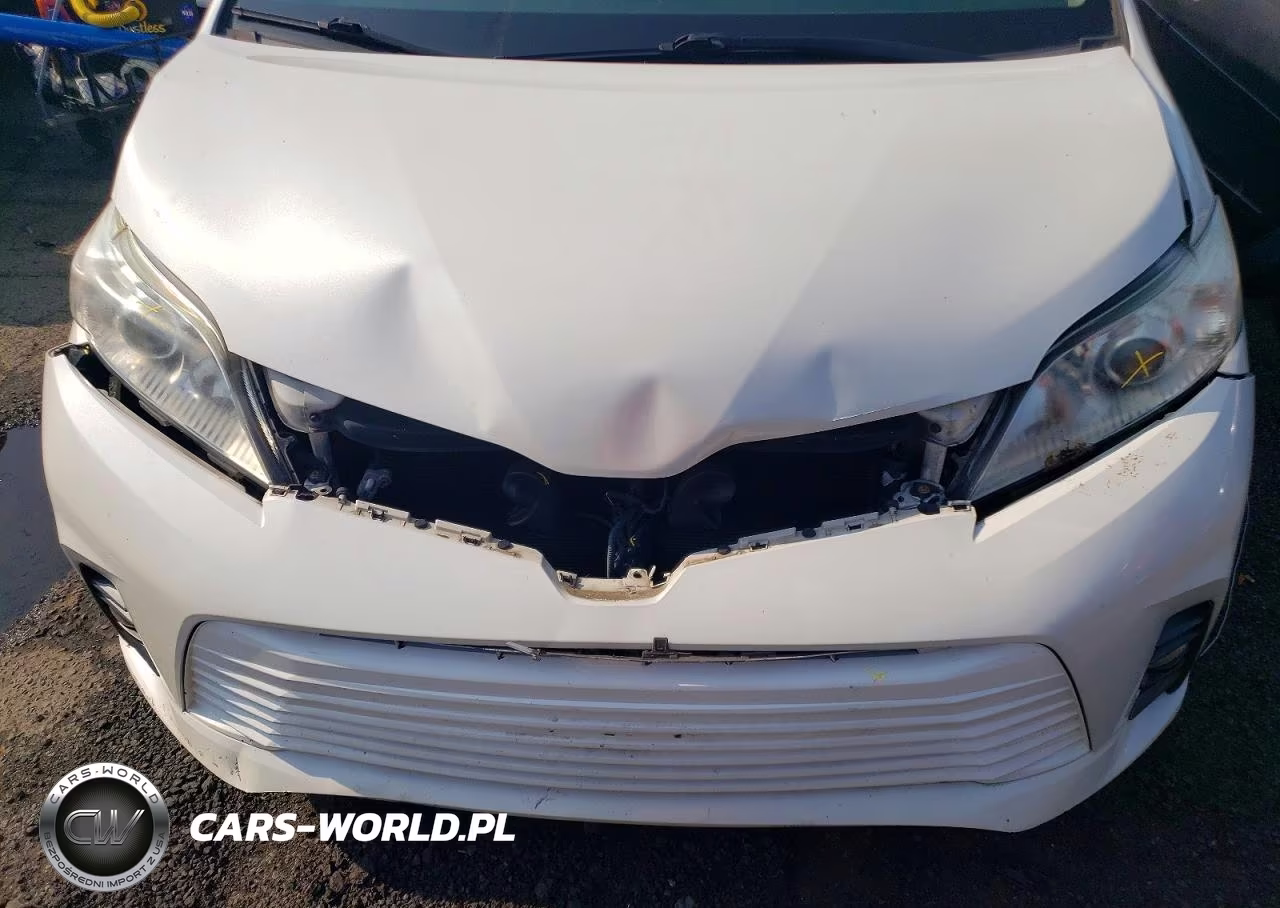 2018 Toyota Sienna Xle 8-Passenger VIN:5TDYZ3DC8JS929558 - 12