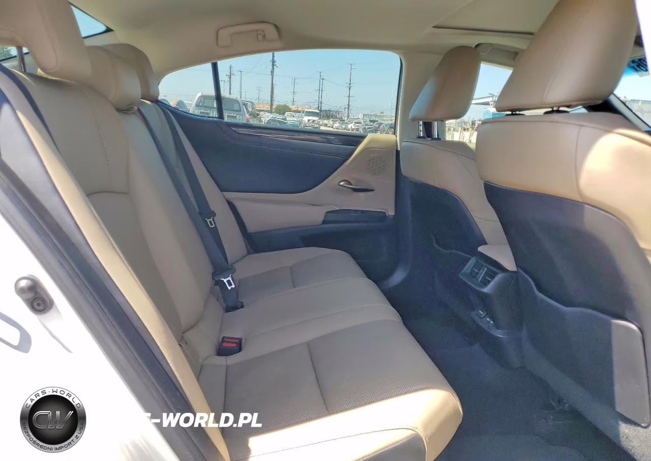 2021 Lexus Es 300H VIN:58ACA1C17MU003355 - 10