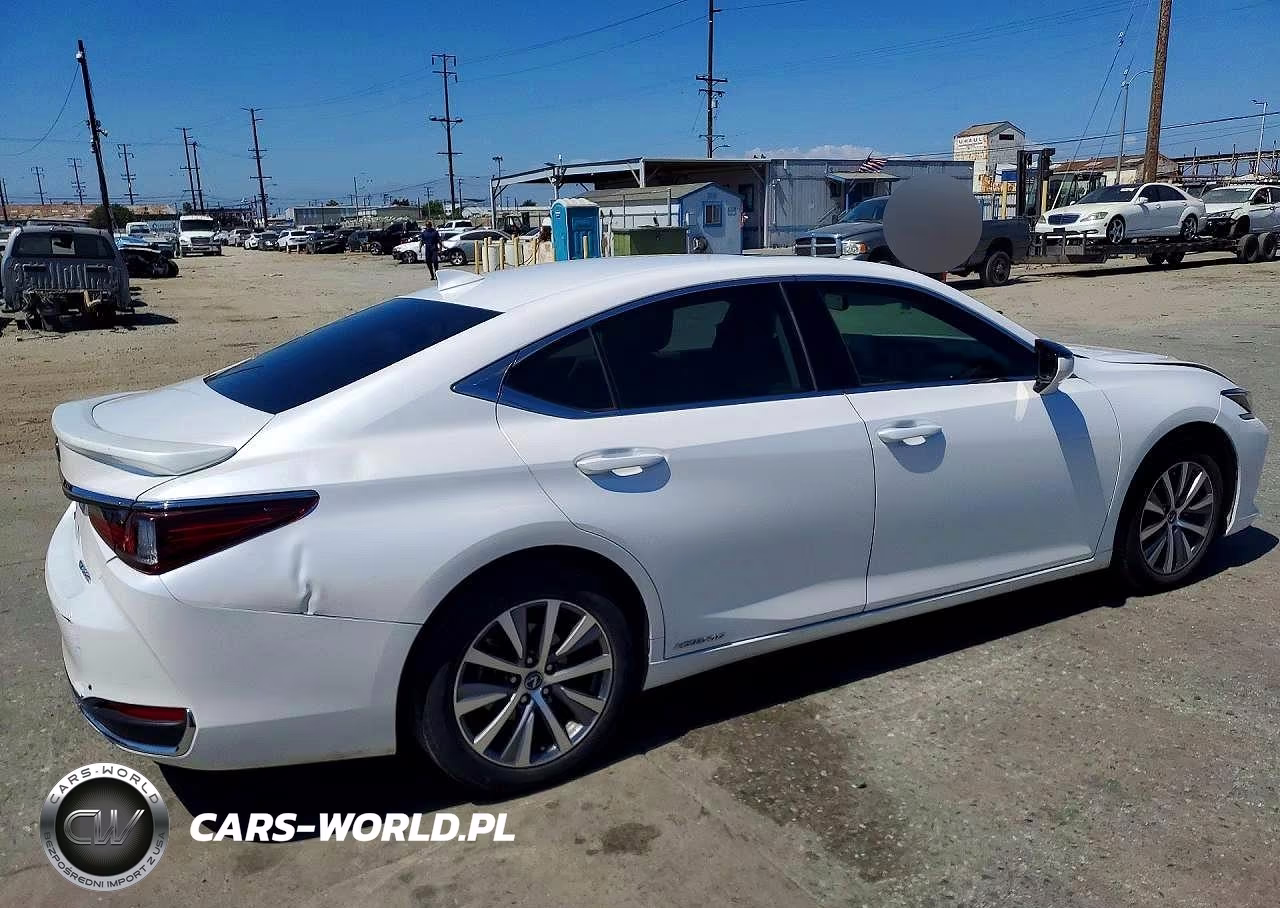 2021 Lexus Es 300H VIN:58ACA1C17MU003355 - 3