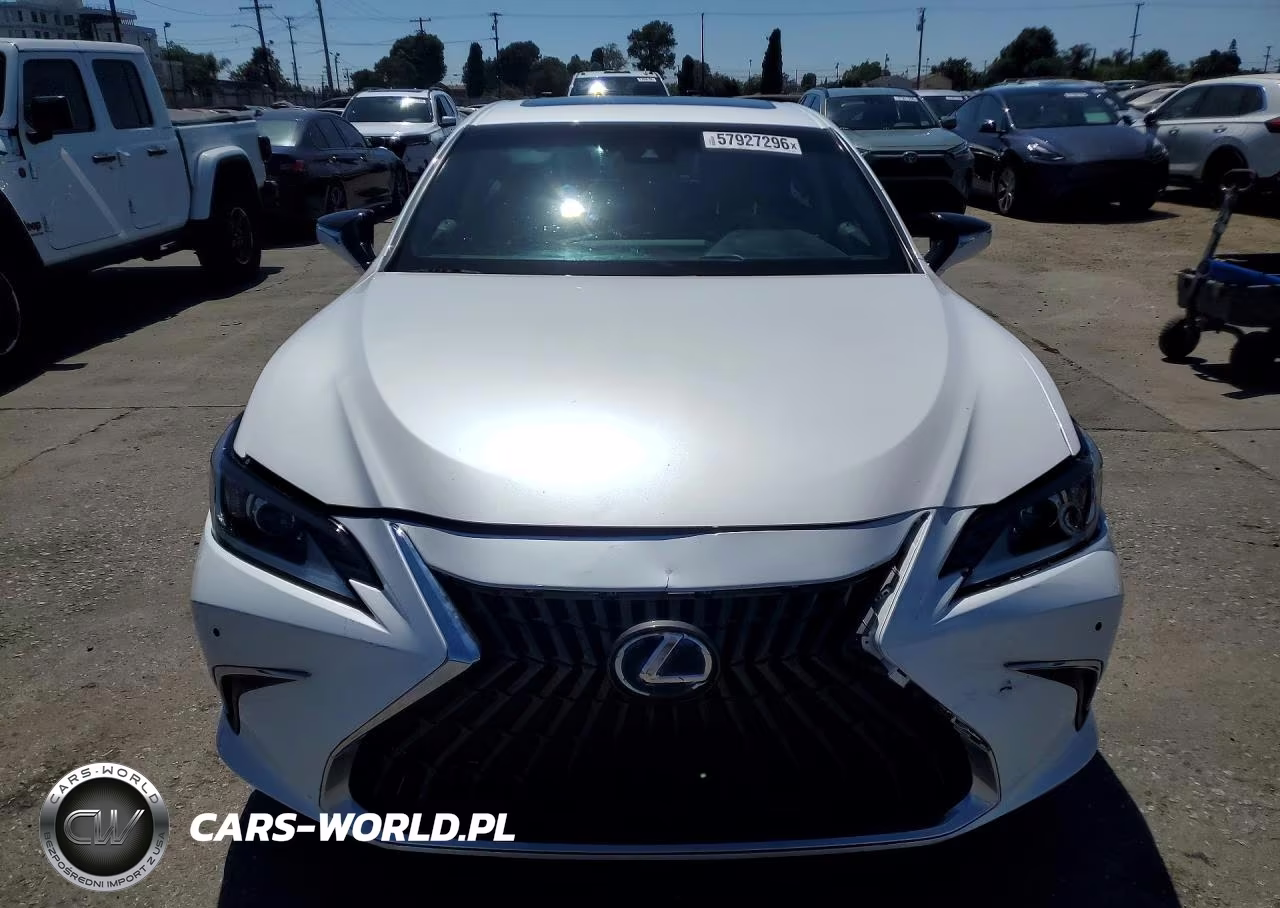2021 Lexus Es 300H VIN:58ACA1C17MU003355 - 5
