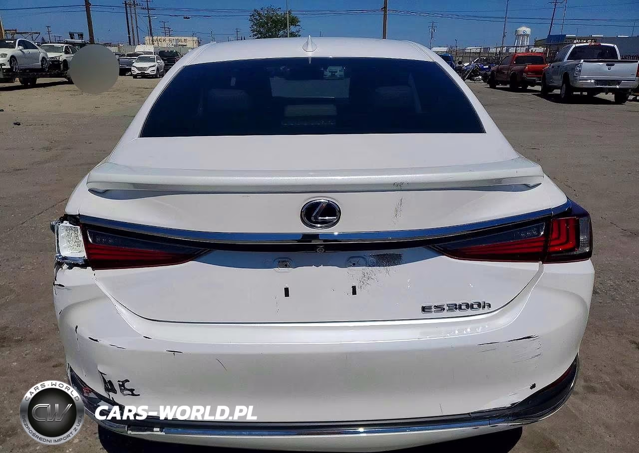 2021 Lexus Es 300H VIN:58ACA1C17MU003355 - 6