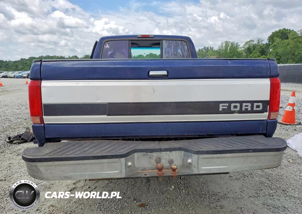 1995 Ford F150 VIN:1FTDF15Y9SLA94529 - 6