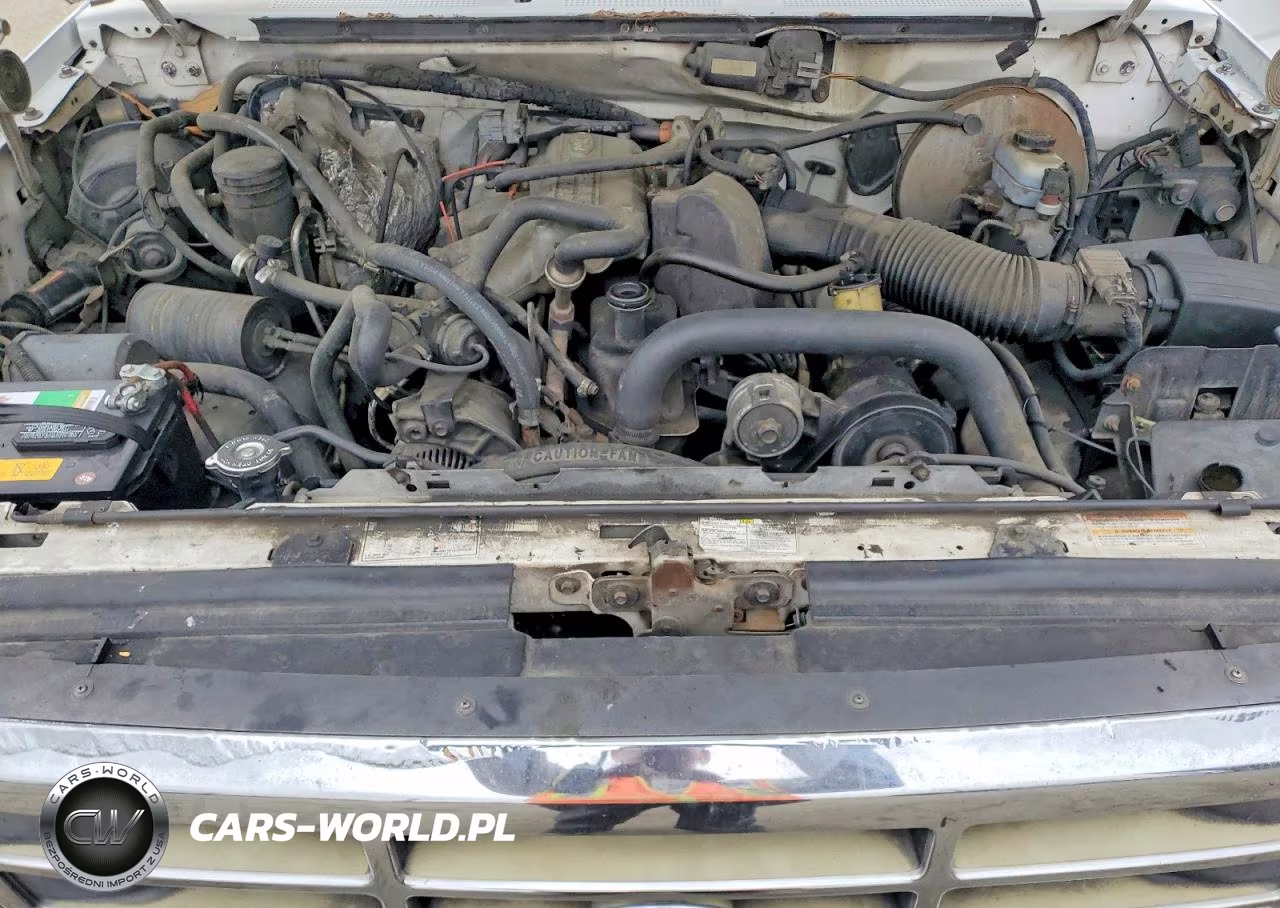 1995 Ford F150 VIN:1FTEX15Y2SKB36806 - 11