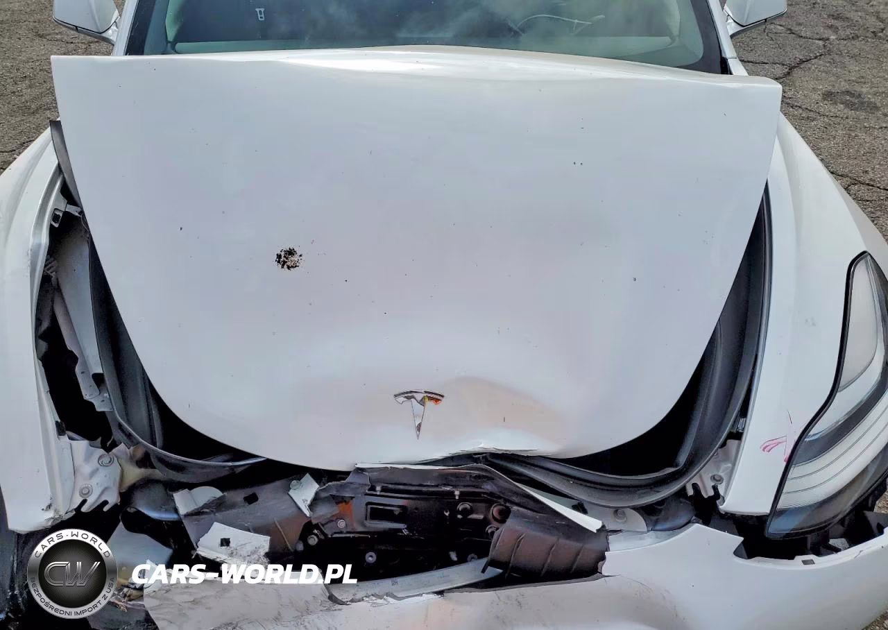 2020 Tesla Model 3 VIN:5YJ3E1EA3LF660092 - 11