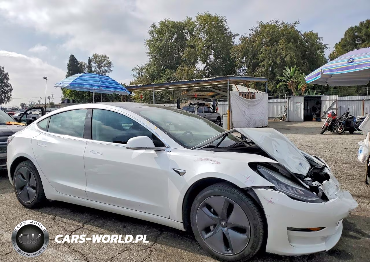 2020 Tesla Model 3 VIN:5YJ3E1EA3LF660092 - 4