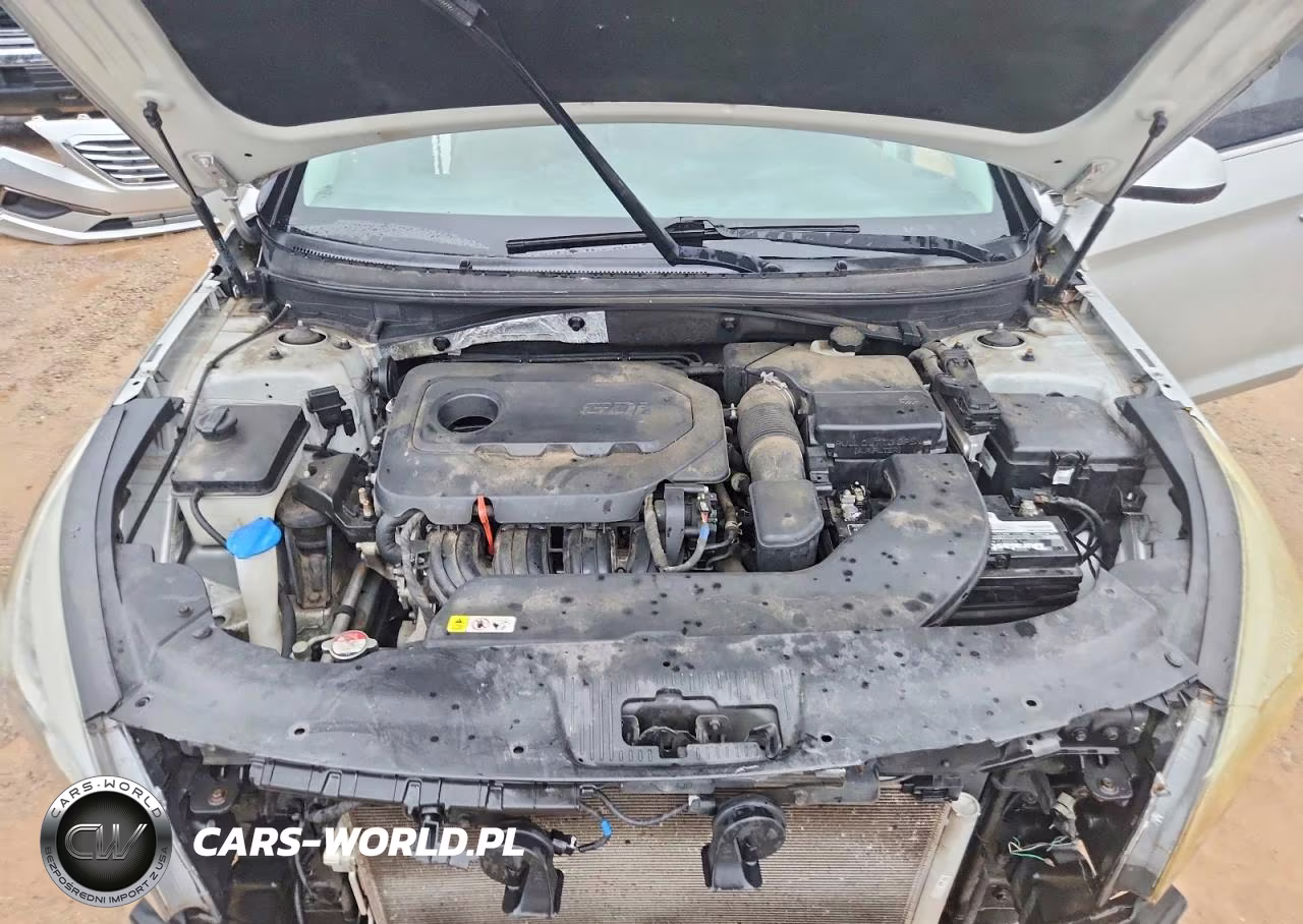 2017 Hyundai Sonata Se VIN:5NPE24AF9HH549530 - 11
