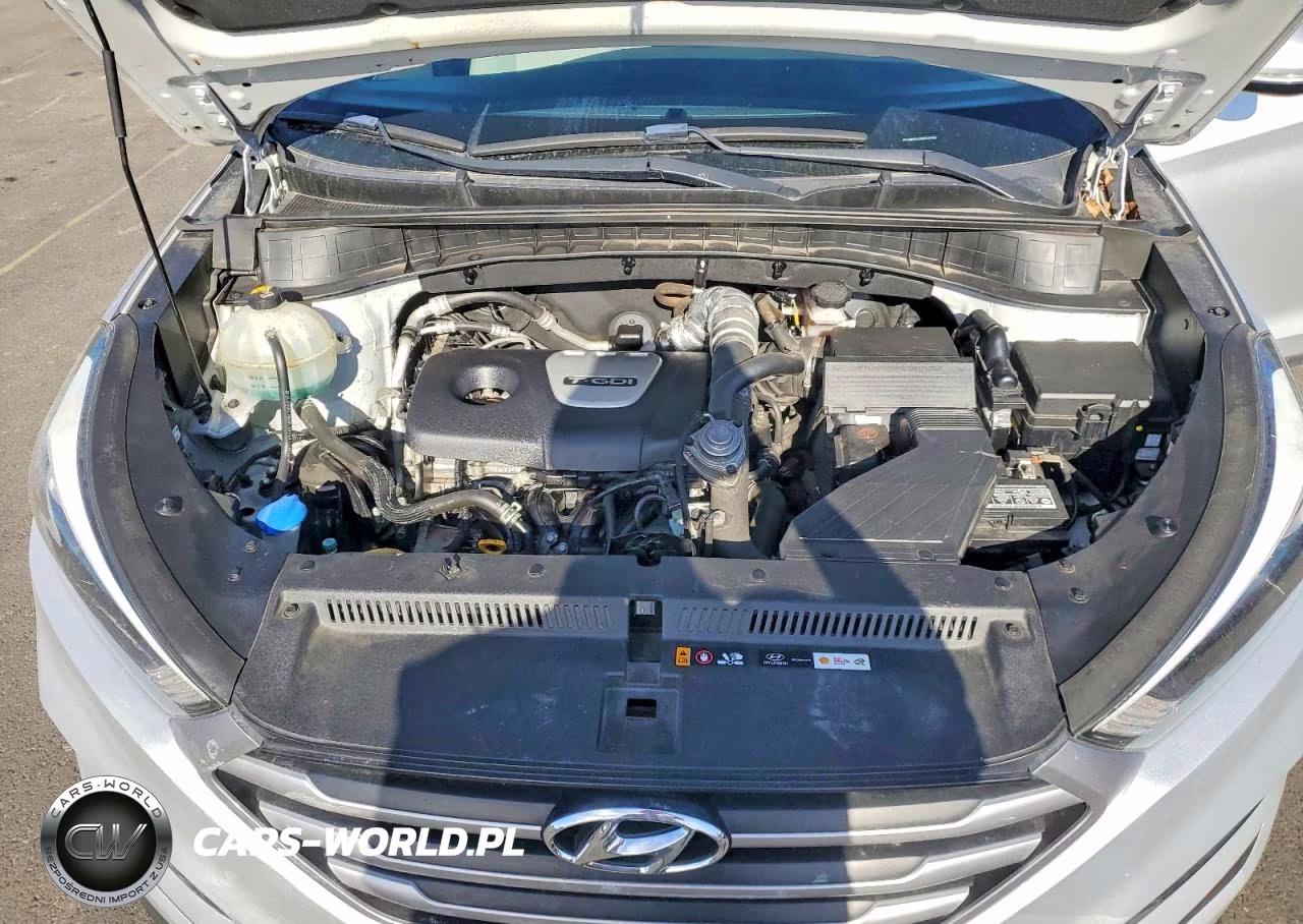 2017 Hyundai Tucson Eco VIN:KM8J3CA20HU337345 - 11