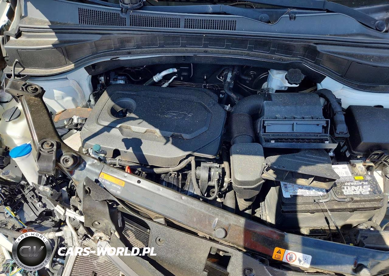 2017 Hyundai Santa Fe Sport 2.4L VIN:5NMZU3LB0HH003244 - 11
