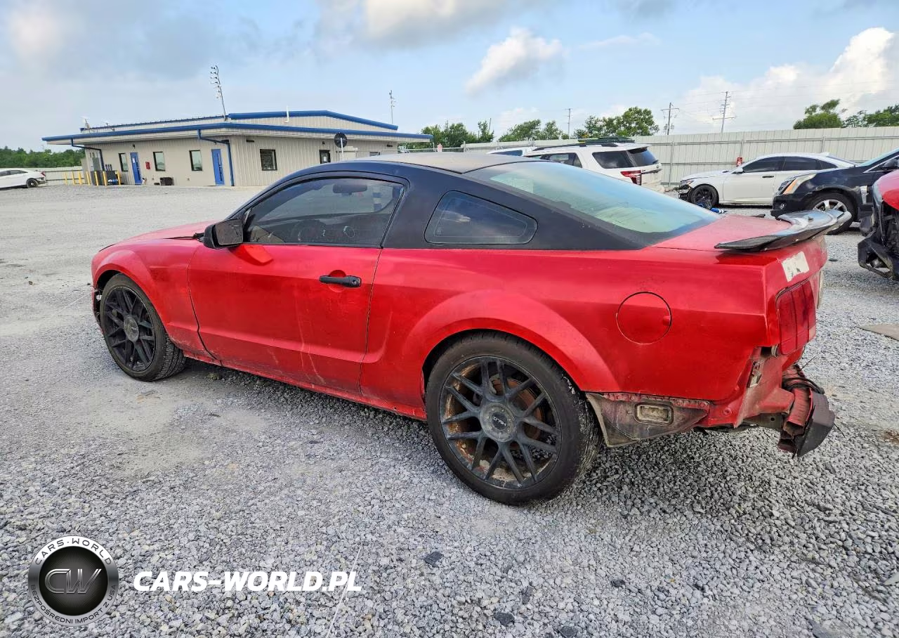 2005 Ford Mustang VIN:1ZVFT80N255237382 - 2