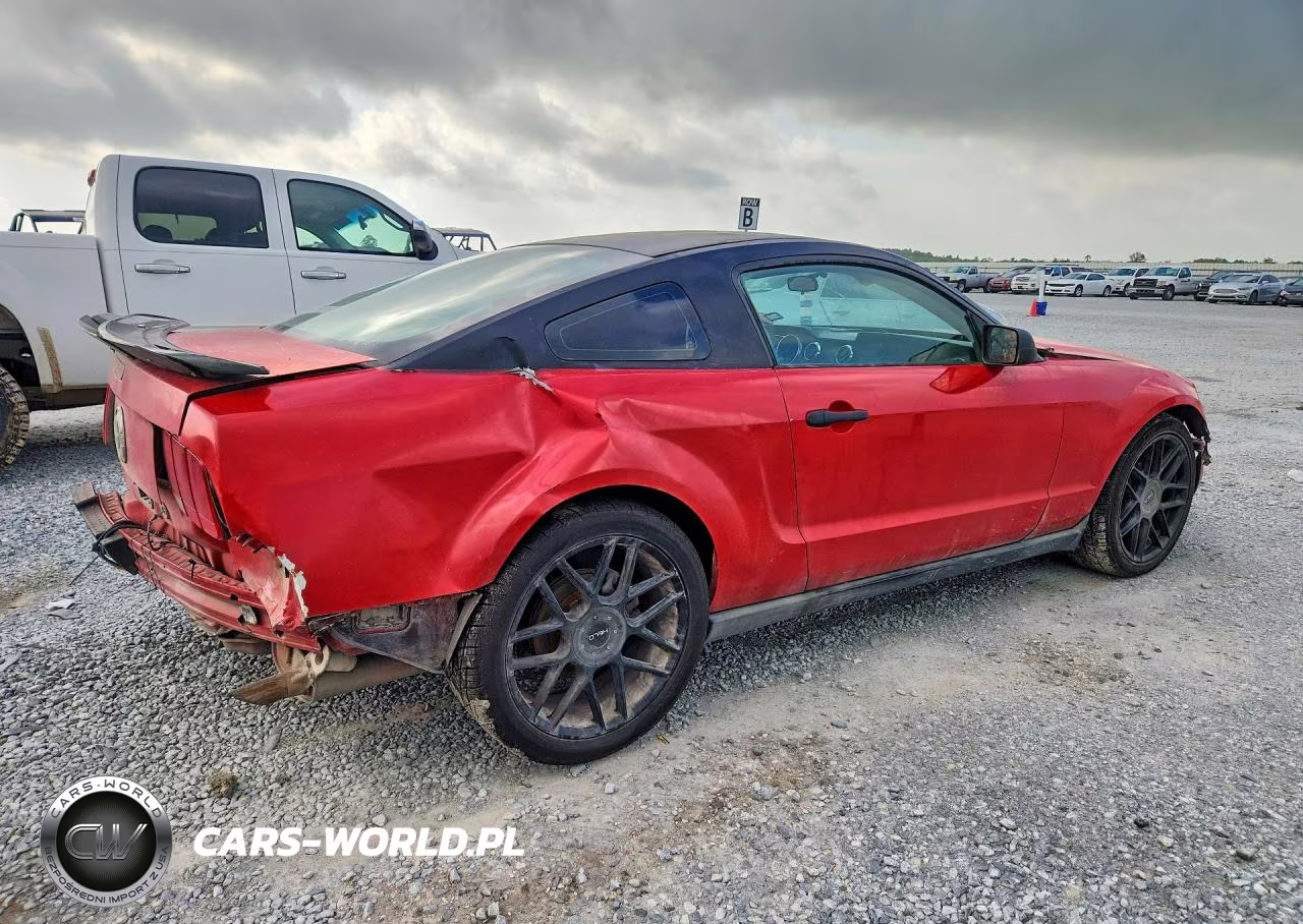 2005 Ford Mustang VIN:1ZVFT80N255237382 - 3