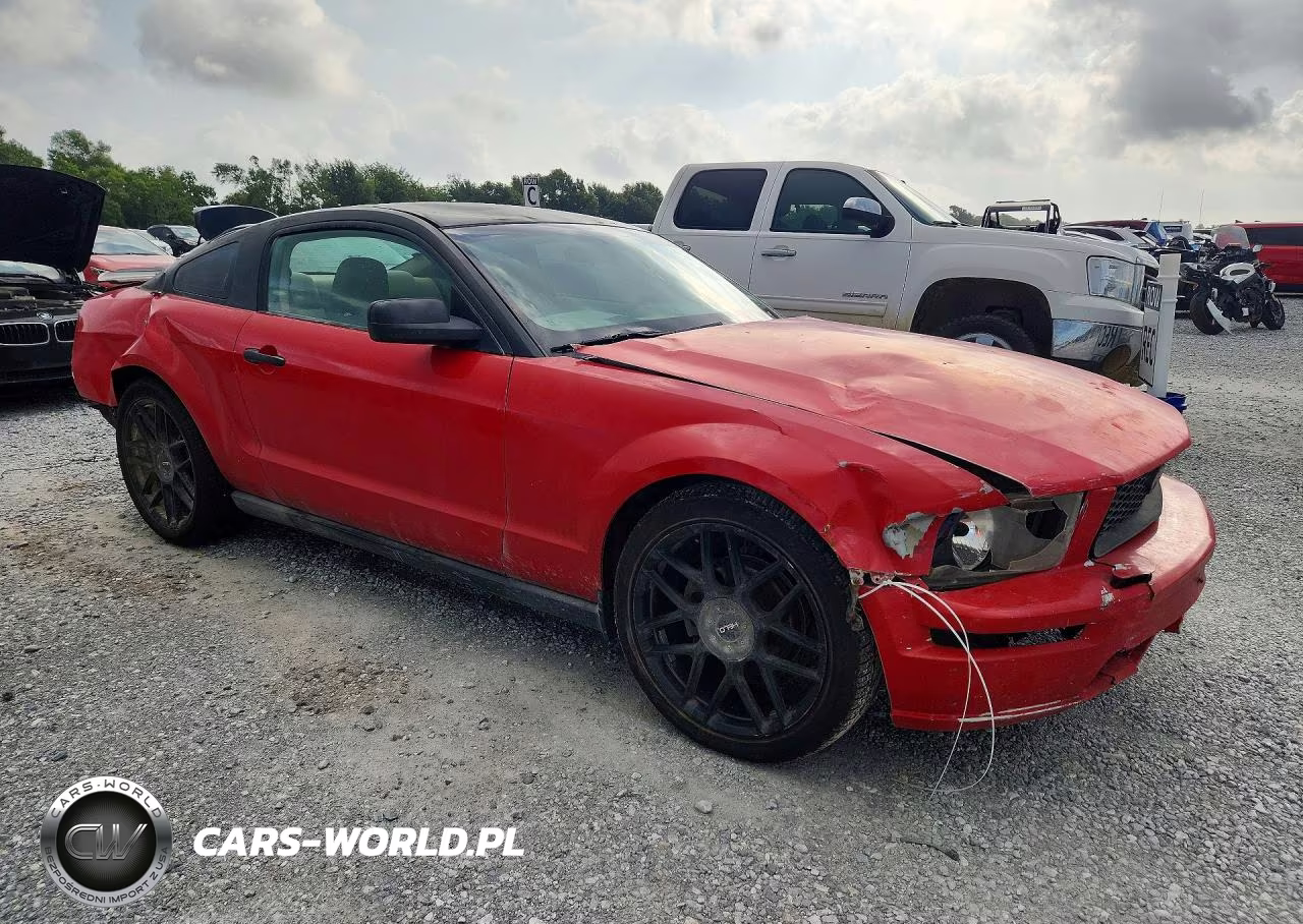 2005 Ford Mustang VIN:1ZVFT80N255237382 - 4