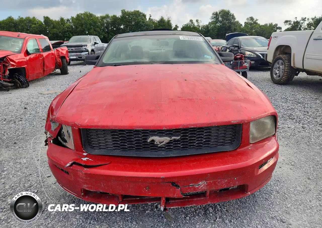 2005 Ford Mustang VIN:1ZVFT80N255237382 - 5