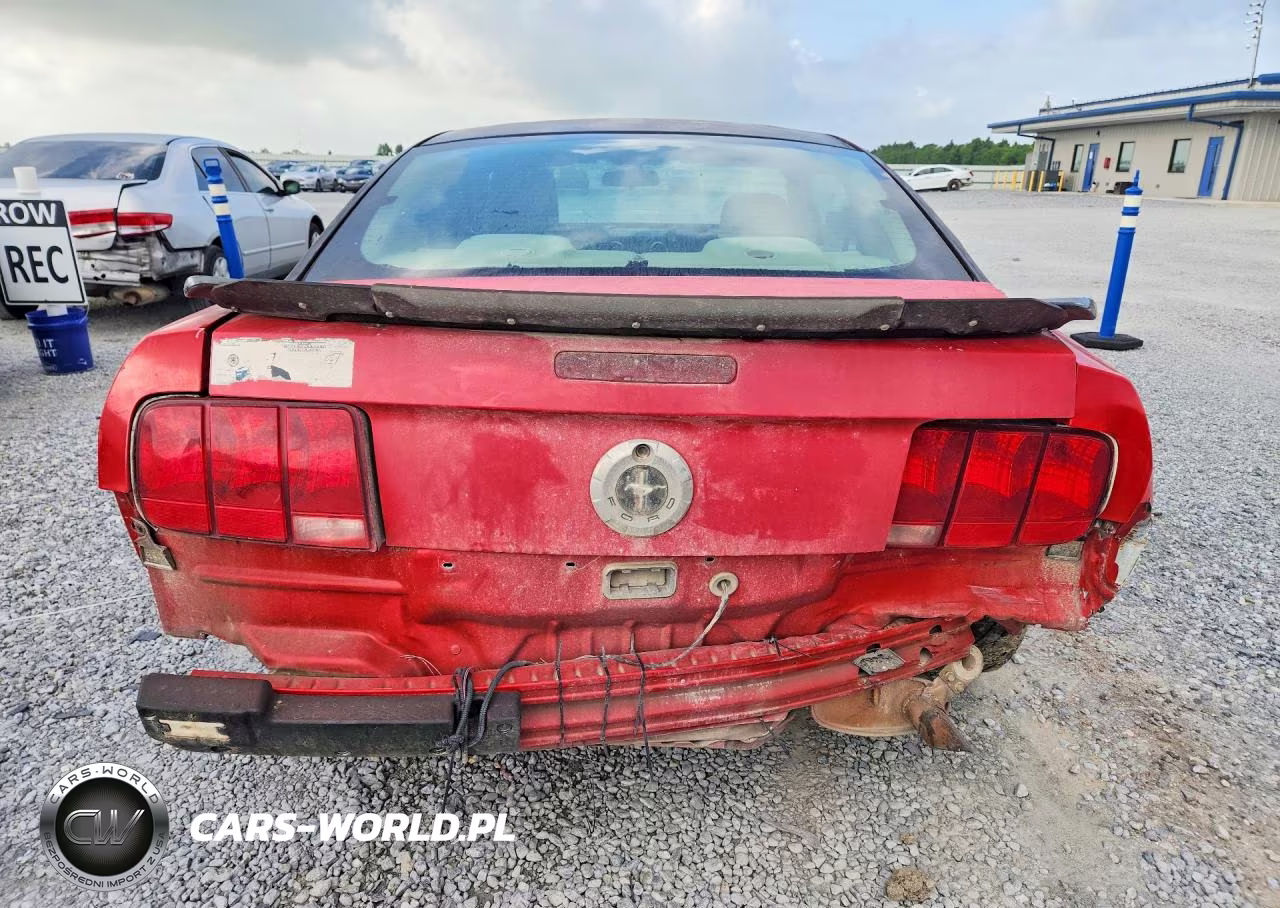 2005 Ford Mustang VIN:1ZVFT80N255237382 - 6