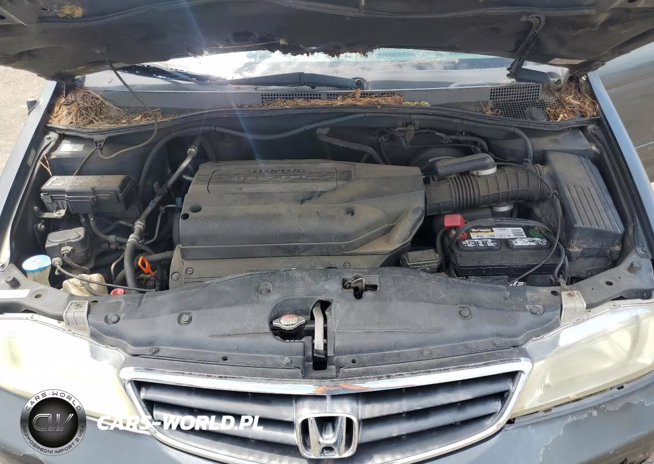 2004 Honda Odyssey Exl VIN:5FNRL18924B096227 - 12